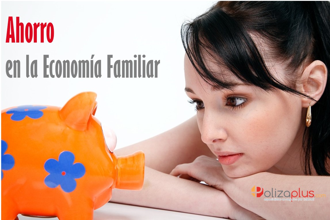 economia familiar
